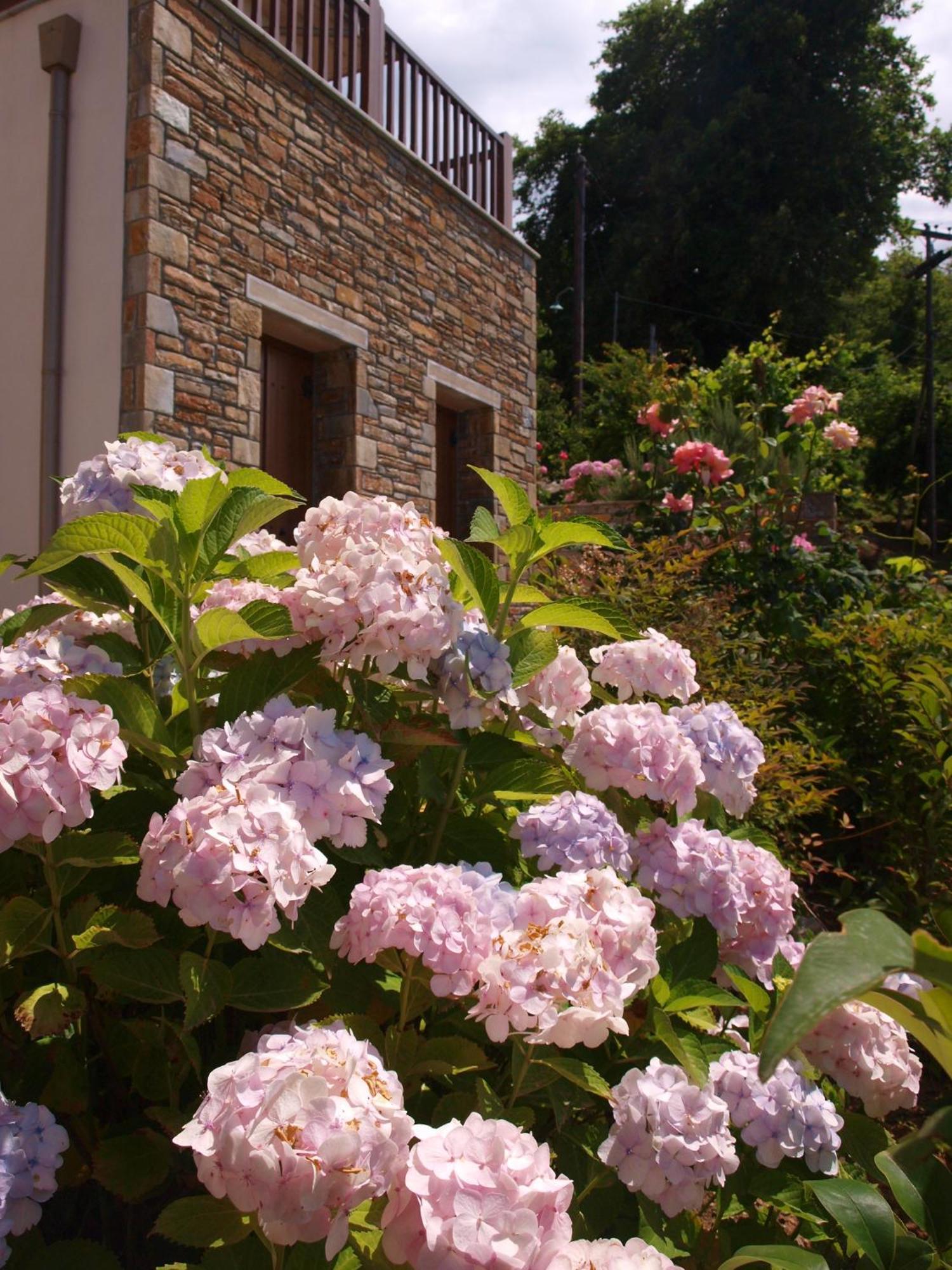 Aparthotel Lions Nine Mouresi