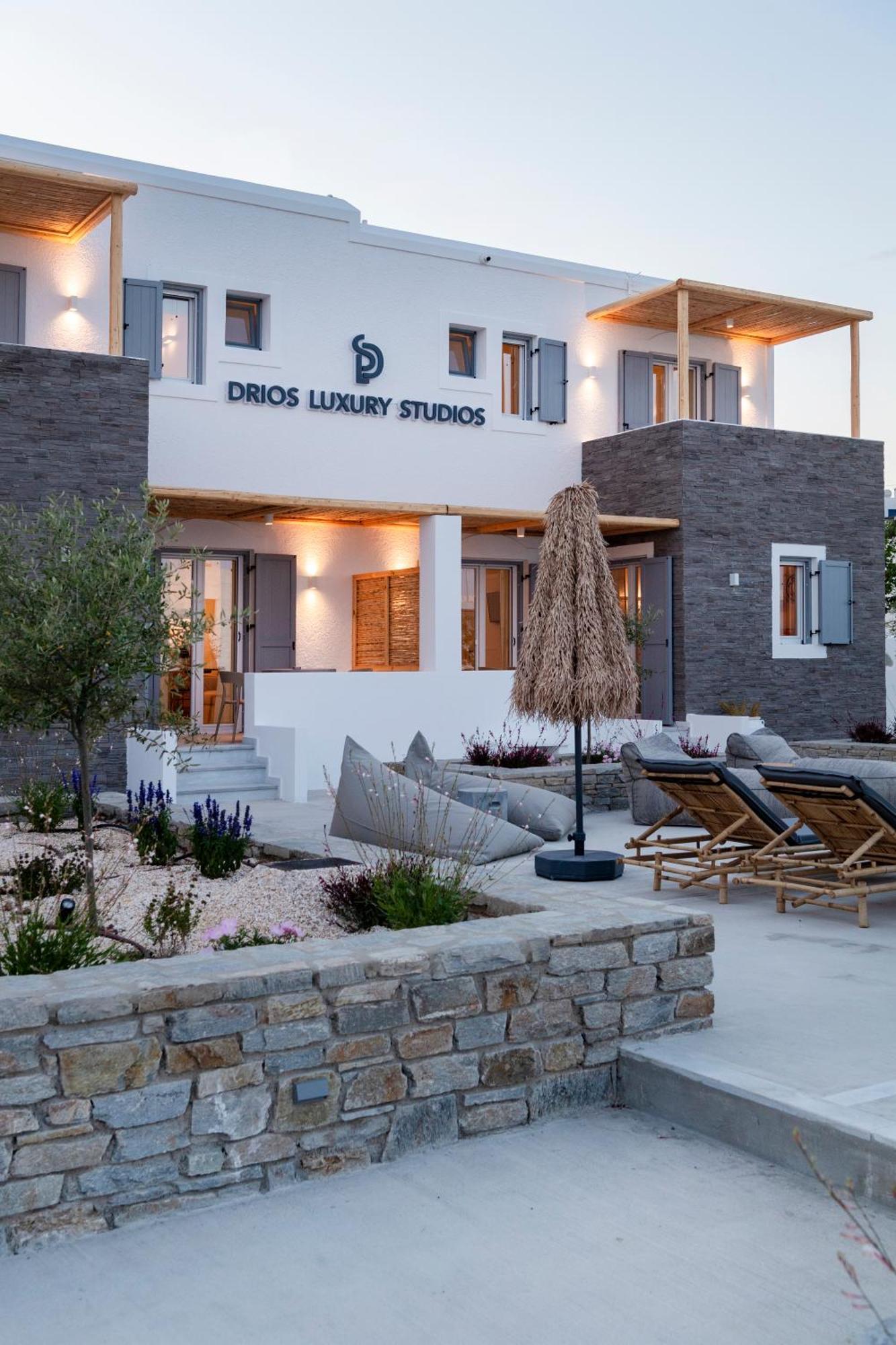 Luxury Apartment