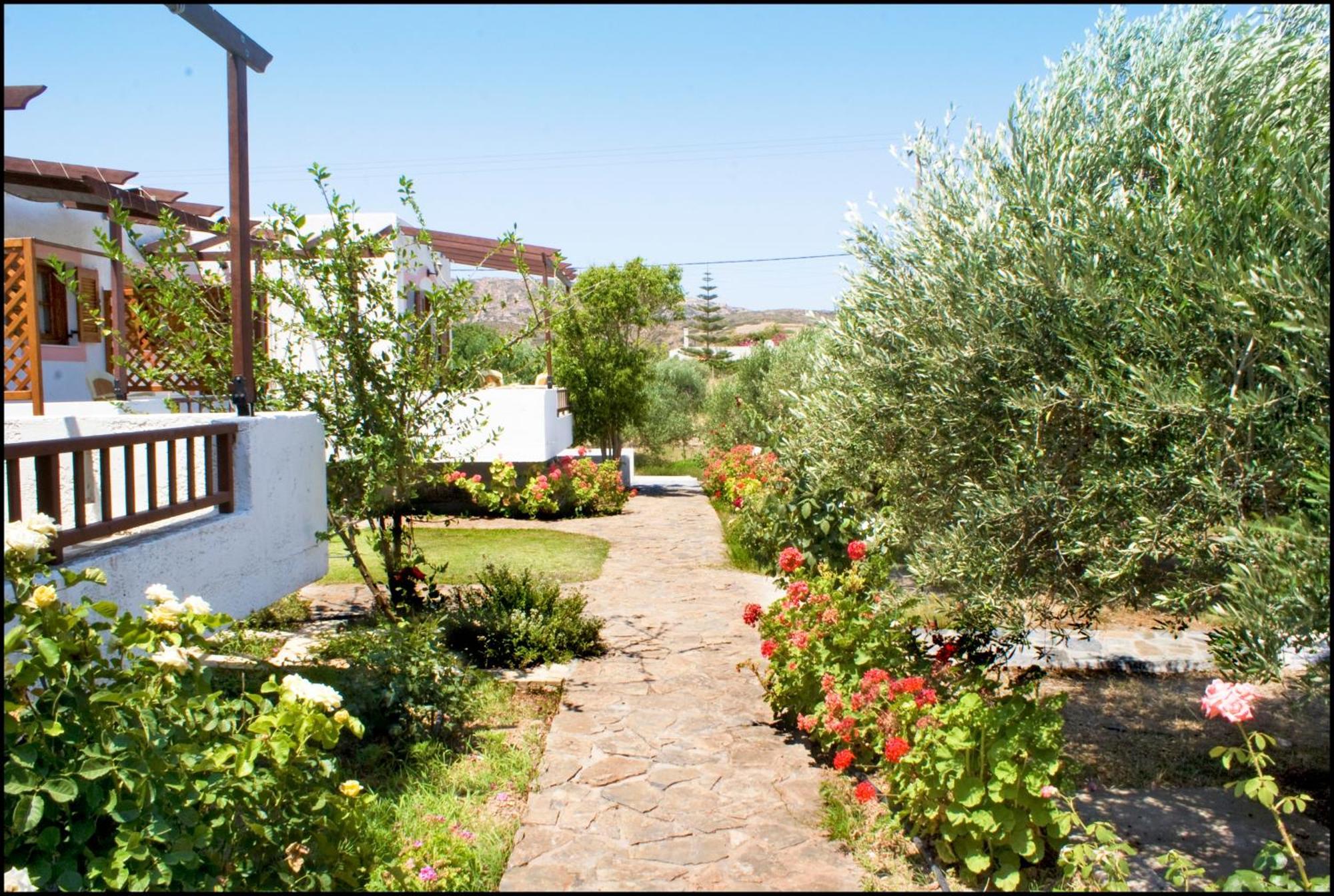 Voula's Casa Di Mare Apartment Palekastro