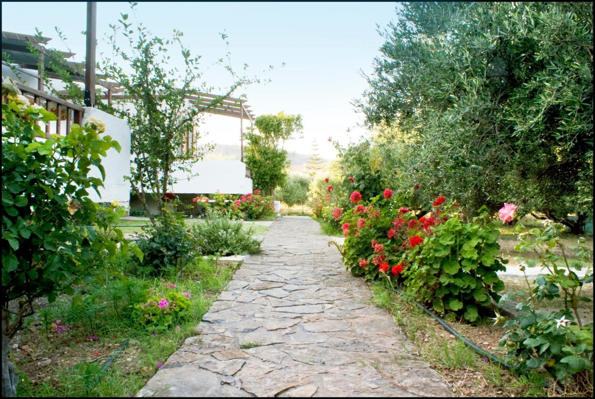 Voula's Casa Di Mare * Palekastro
