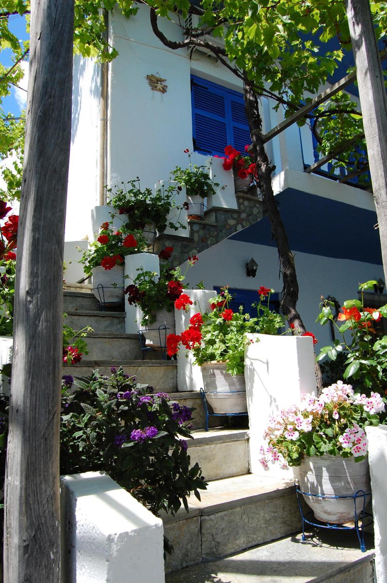 Apartment Kastra Velika (Thessaly)