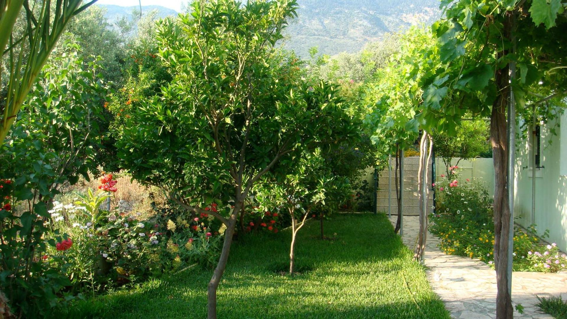 Galini Apartment