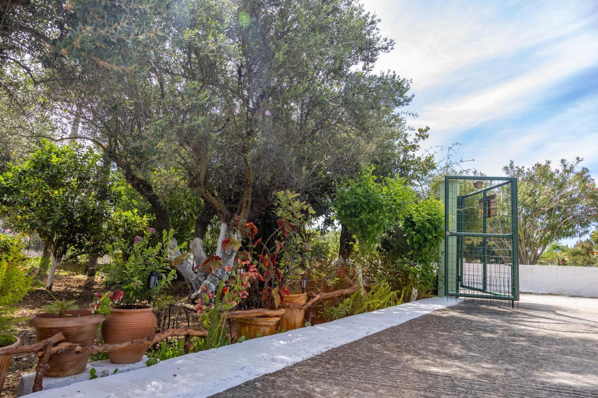 Holiday home Sea & Olives House *