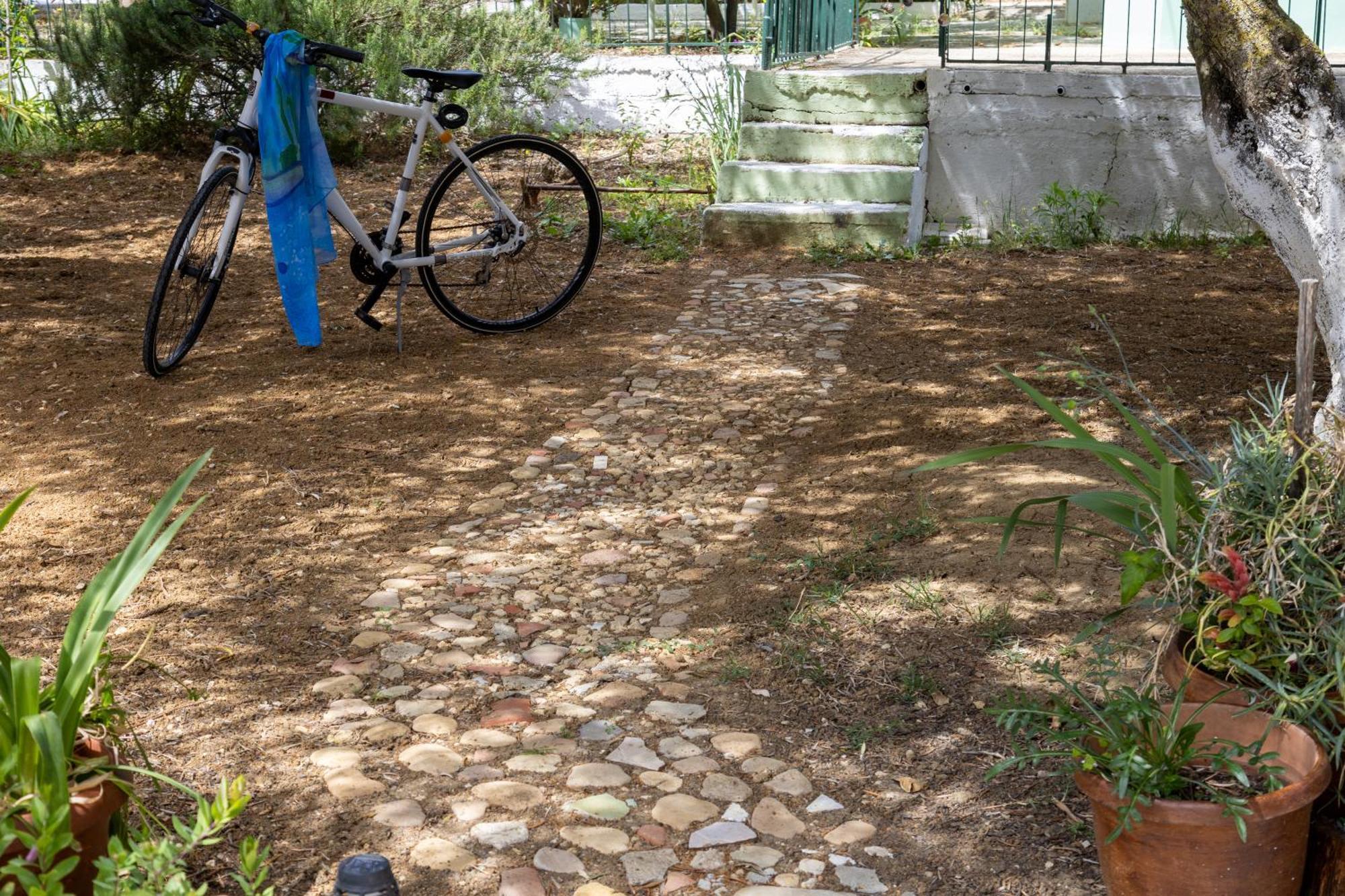 Sea & Olives House Lixouri