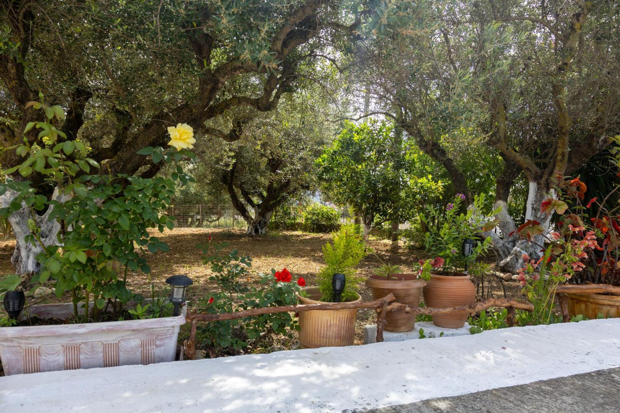 Holiday home Sea & Olives House