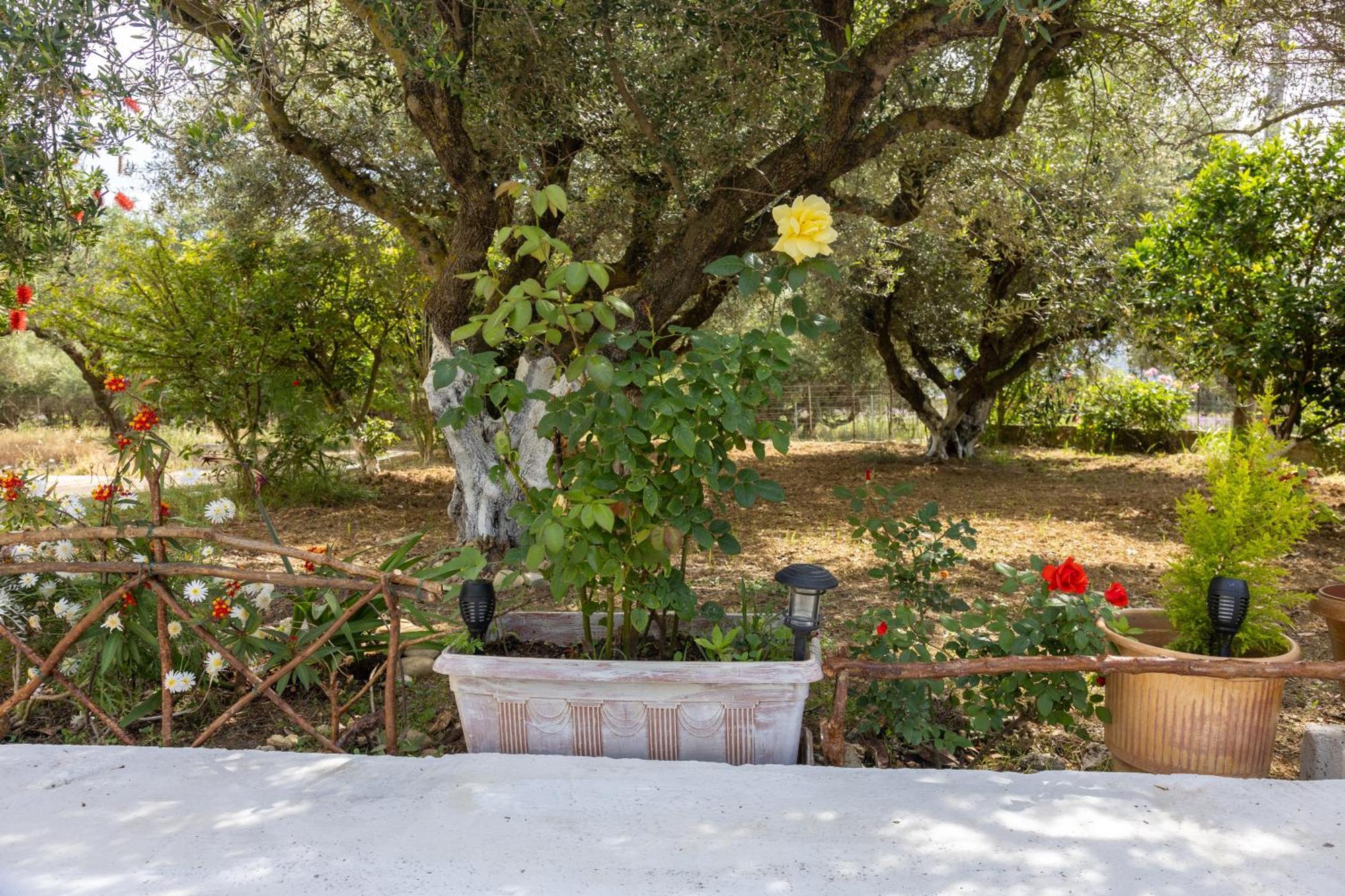 Sea & Olives House Holiday home Lixouri