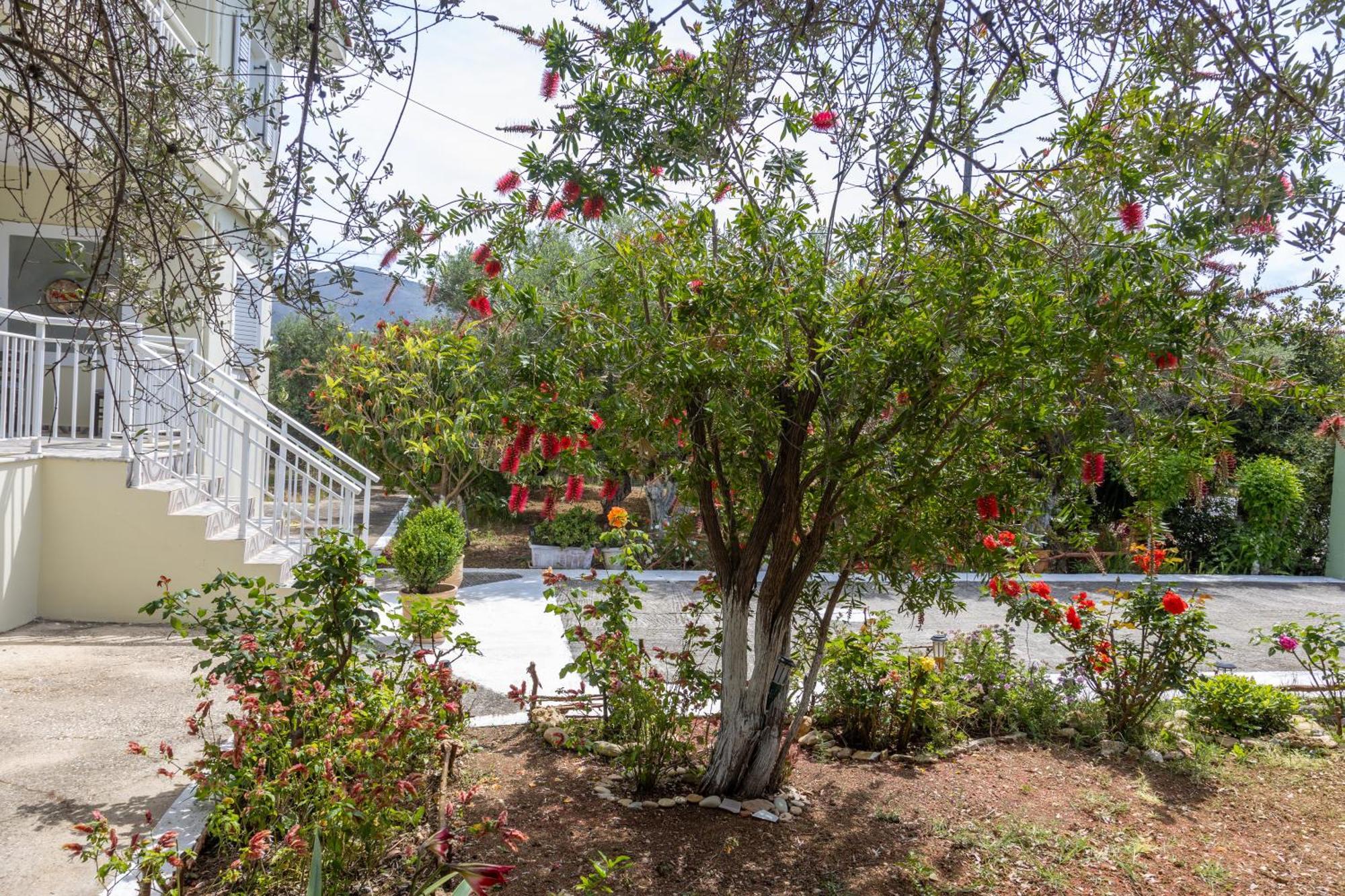 Sea & Olives House Lixouri