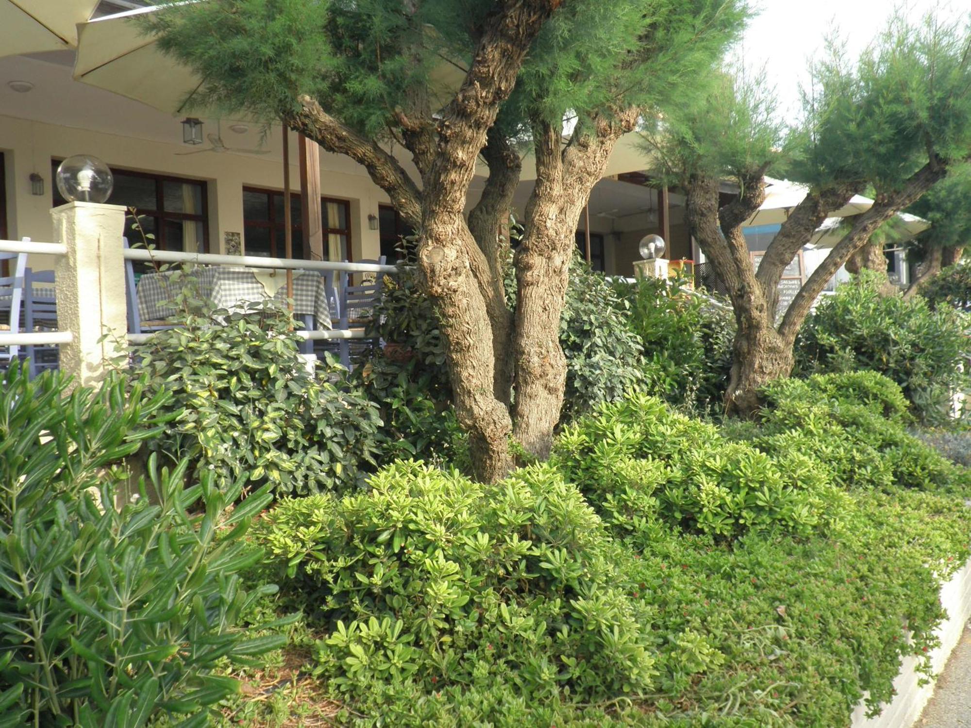 Hotel Akrogiali *