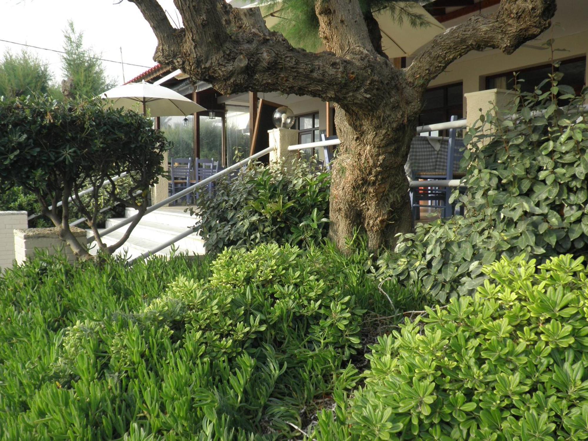 Akrogiali Hotel Kyparissia