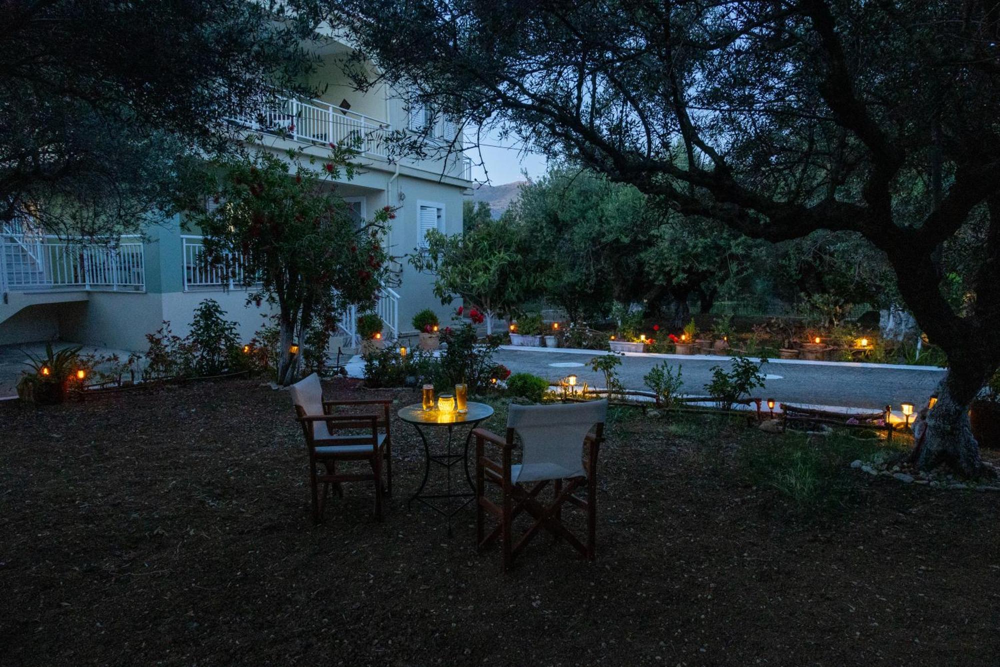 Sea & Olives House Lixouri