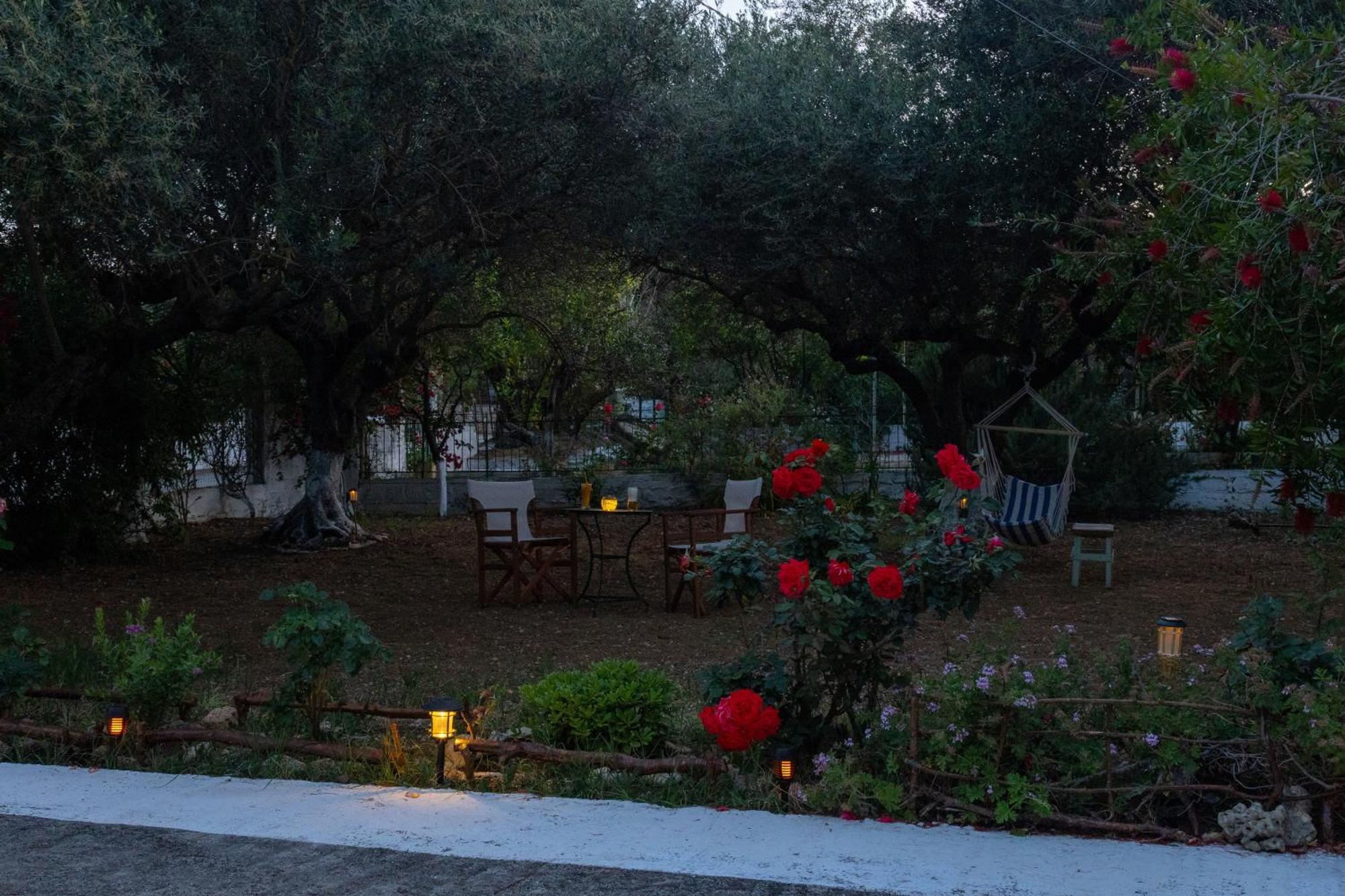Sea & Olives House