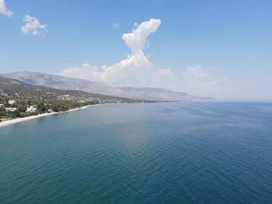 The Saronic - Jungle On The Sea Holiday home Agioi Theodoroi