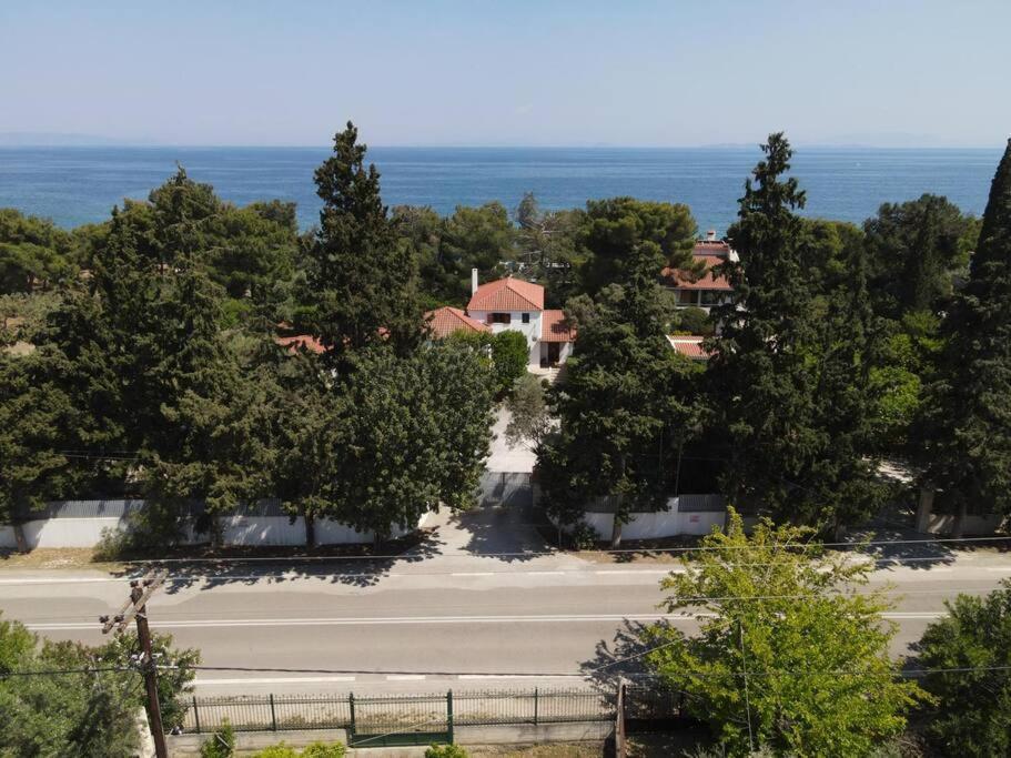 Holiday home The Saronic - Jungle On The Sea Agioi Theodoroi