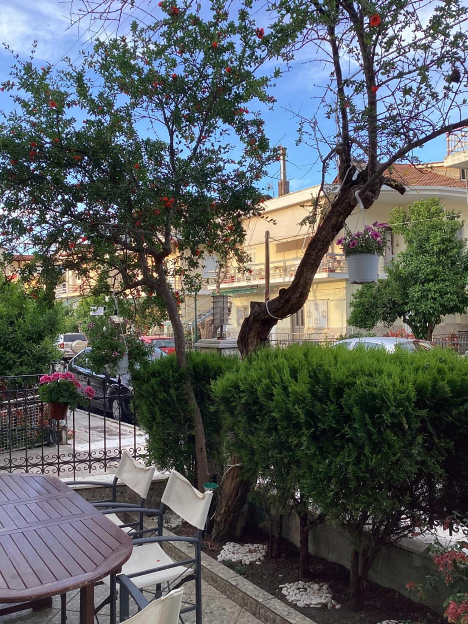 Aparthotel Alexandros *