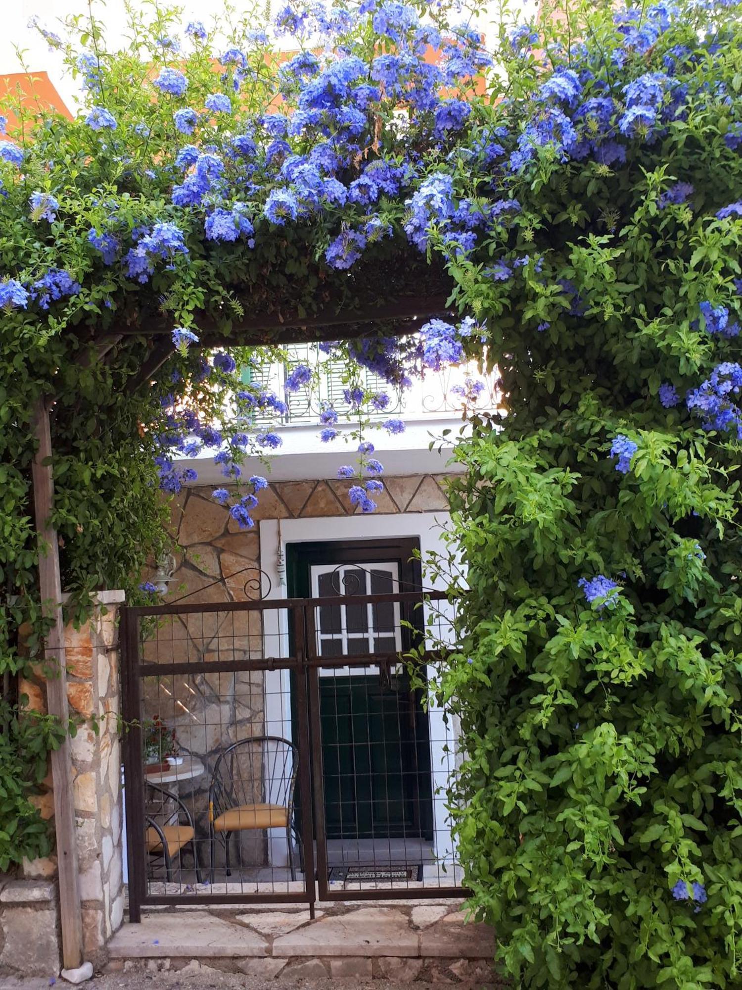 Garneli Apartment *