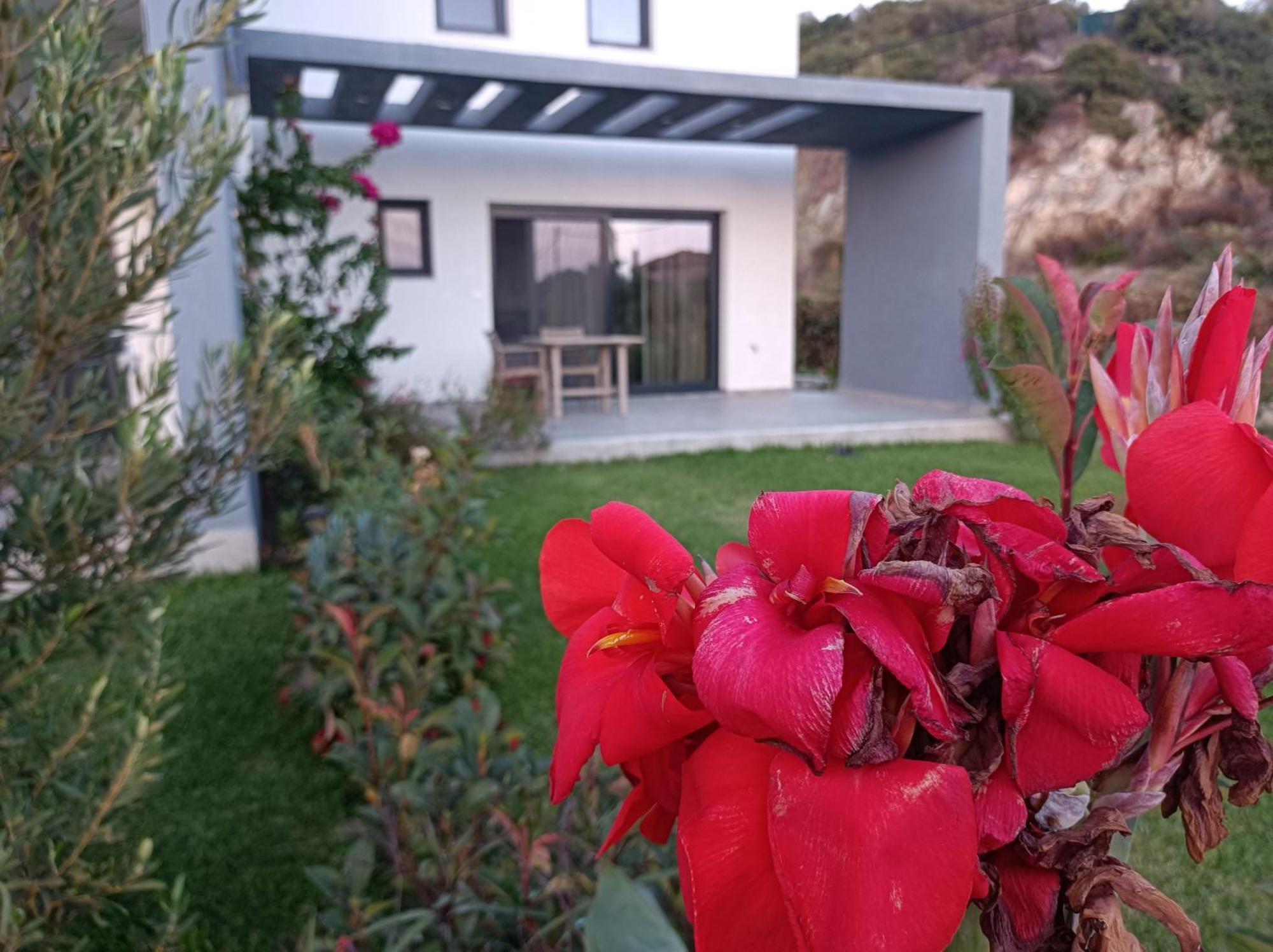 Miranda Roshi Apartment Toroni
