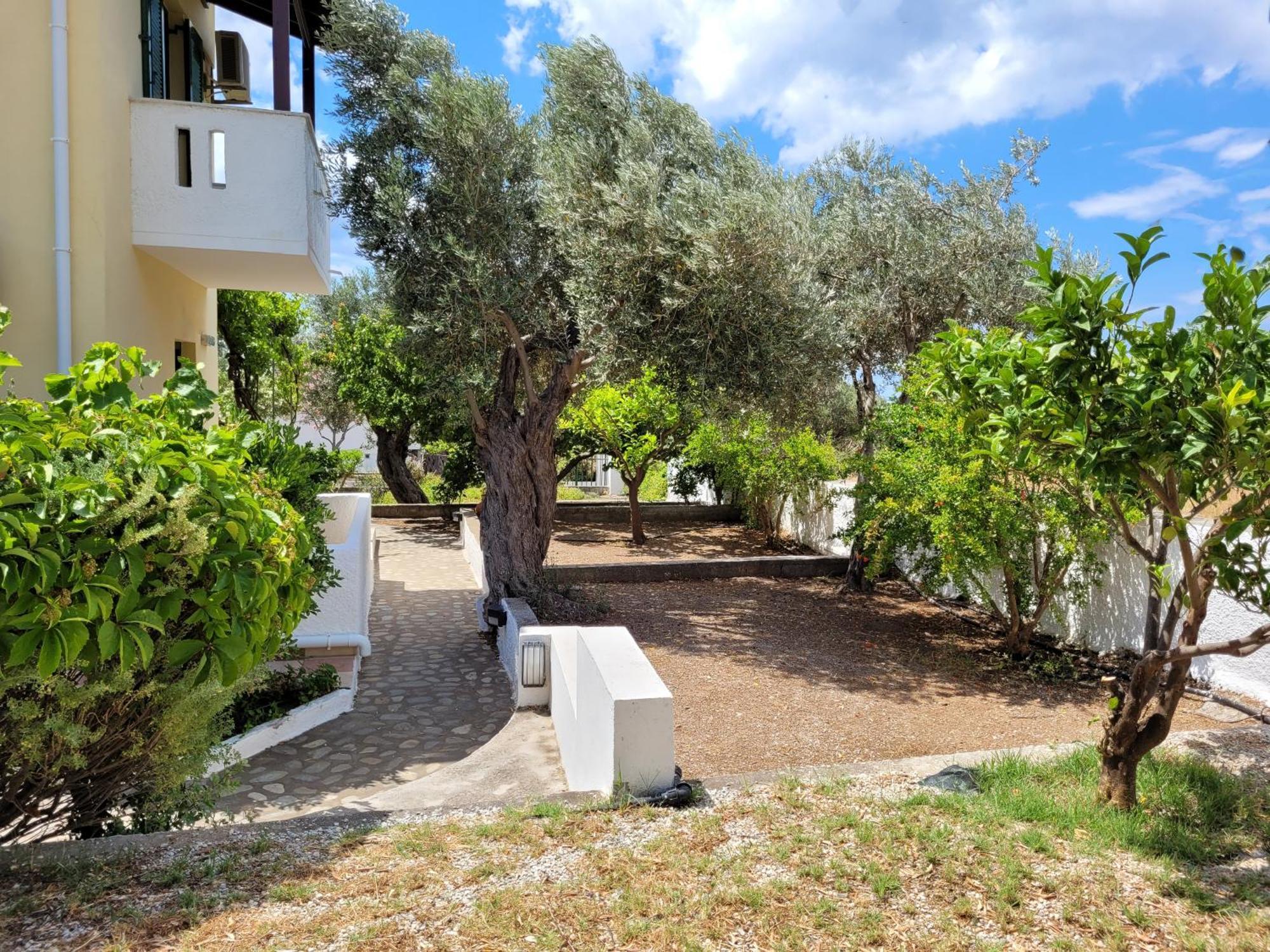 Apartment Popi