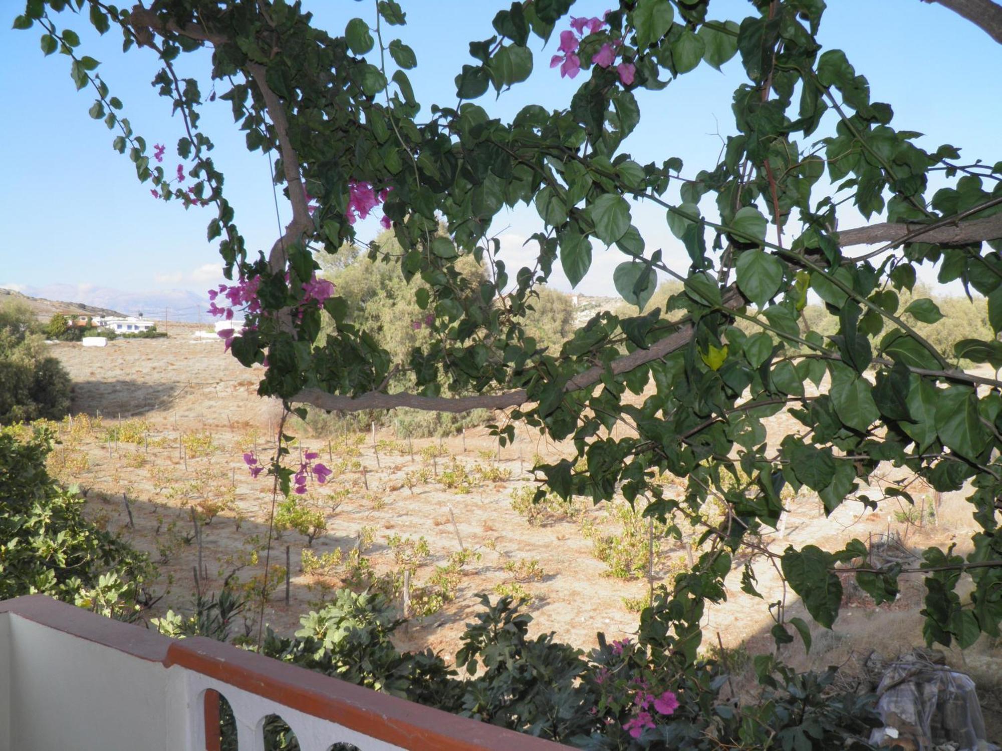 Galaxias Kalamaki (Heraklion)