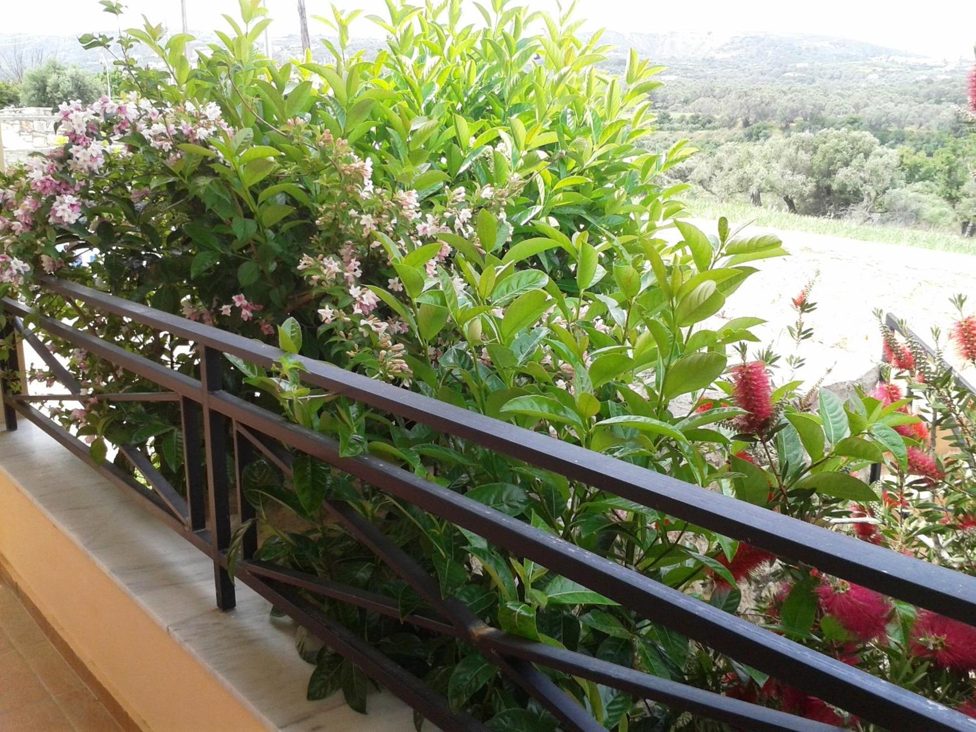 Villa Helidonia Villas Pigi (Crete)