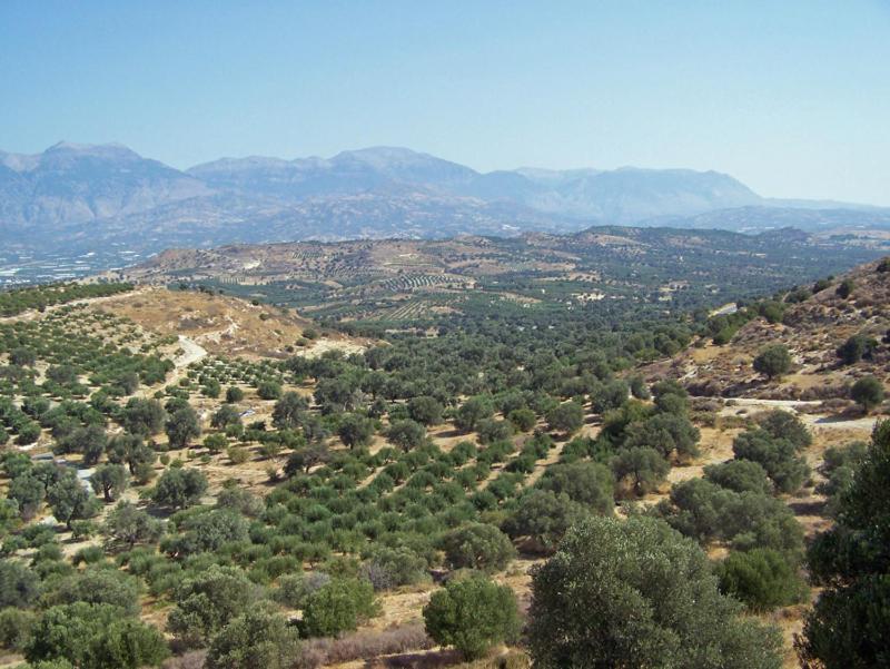 Alexandros Villa
