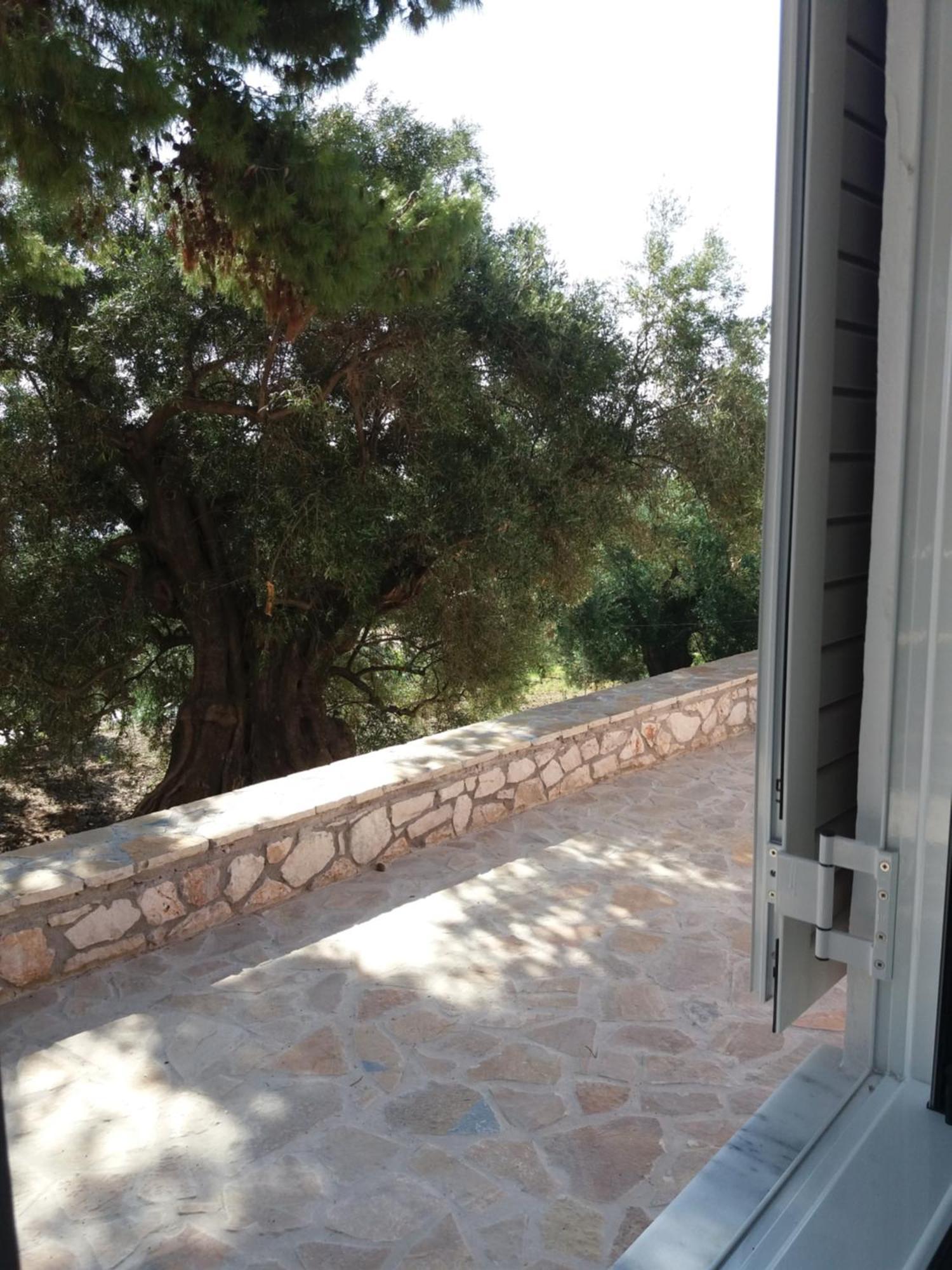 Belvedere Zakynthos Studios Aparthotel