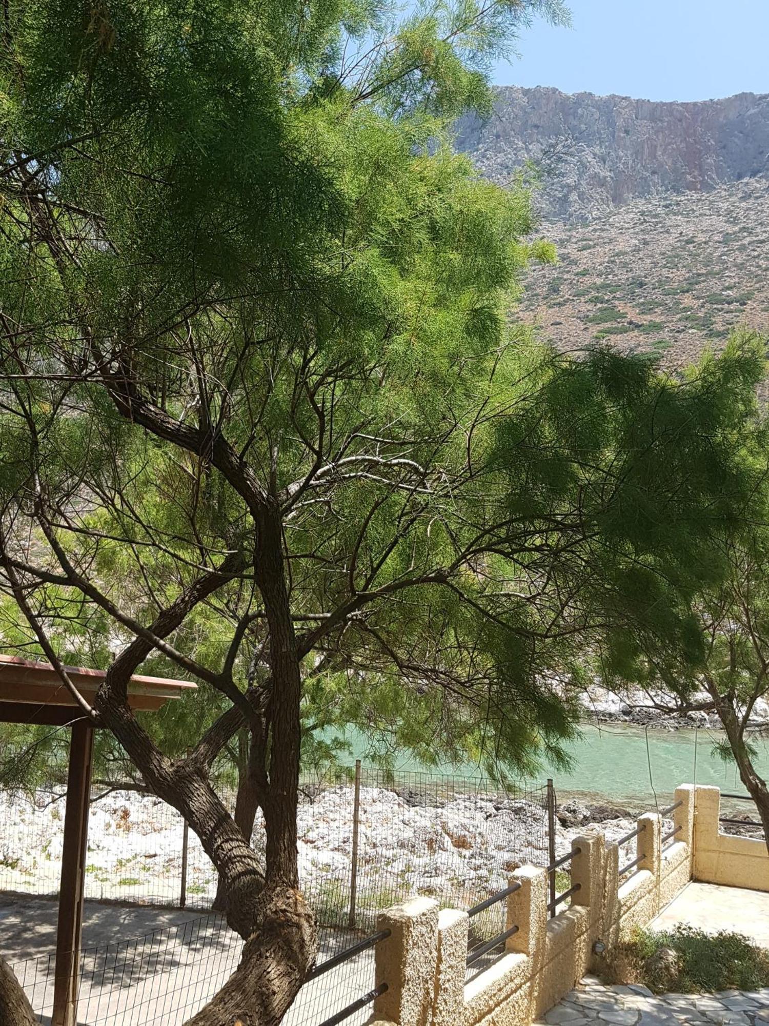 Apartment Little Bay Stavros (Crete)