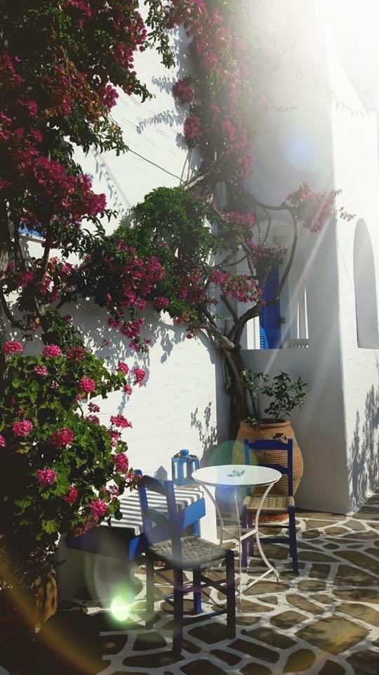 Pelagos Aparthotel 3*