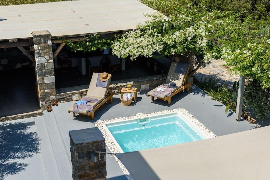 Villa Seasalt Dream Villa,santa Maria 5 Min From Naousa Santa Maria (Paros)