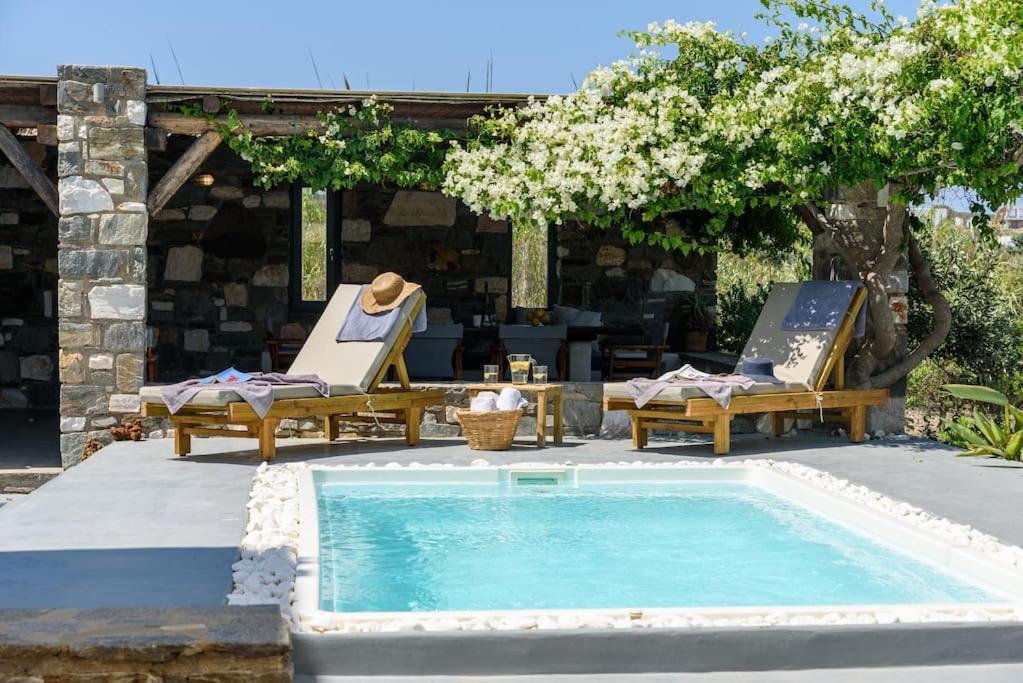 Villa Seasalt Dream Villa,santa Maria 5 Min From Naousa