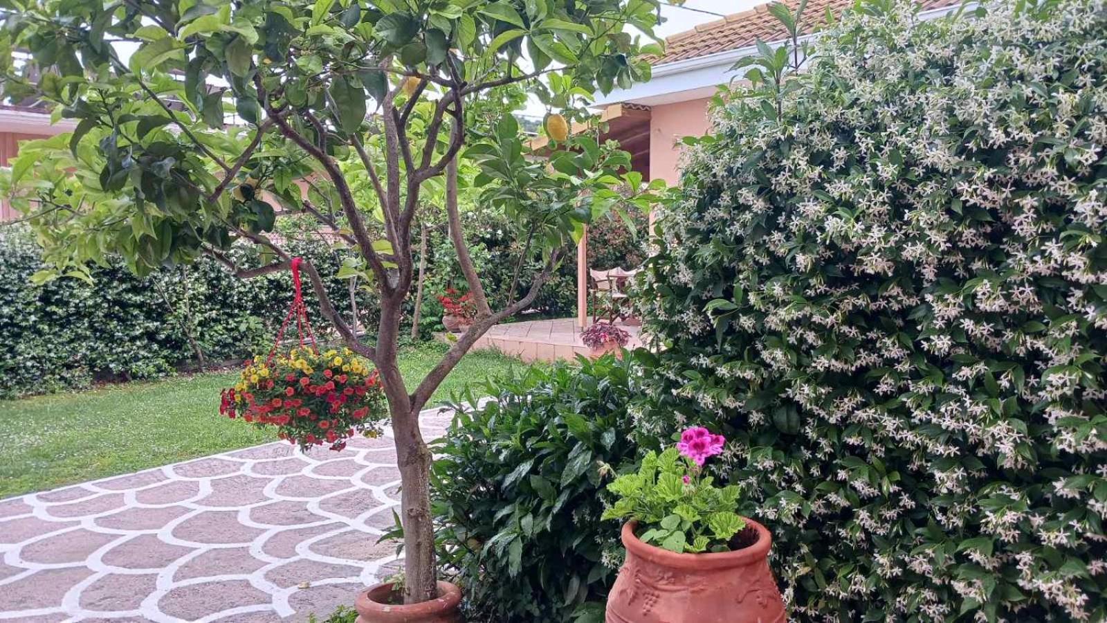 Apartment Ioannidis Valtos