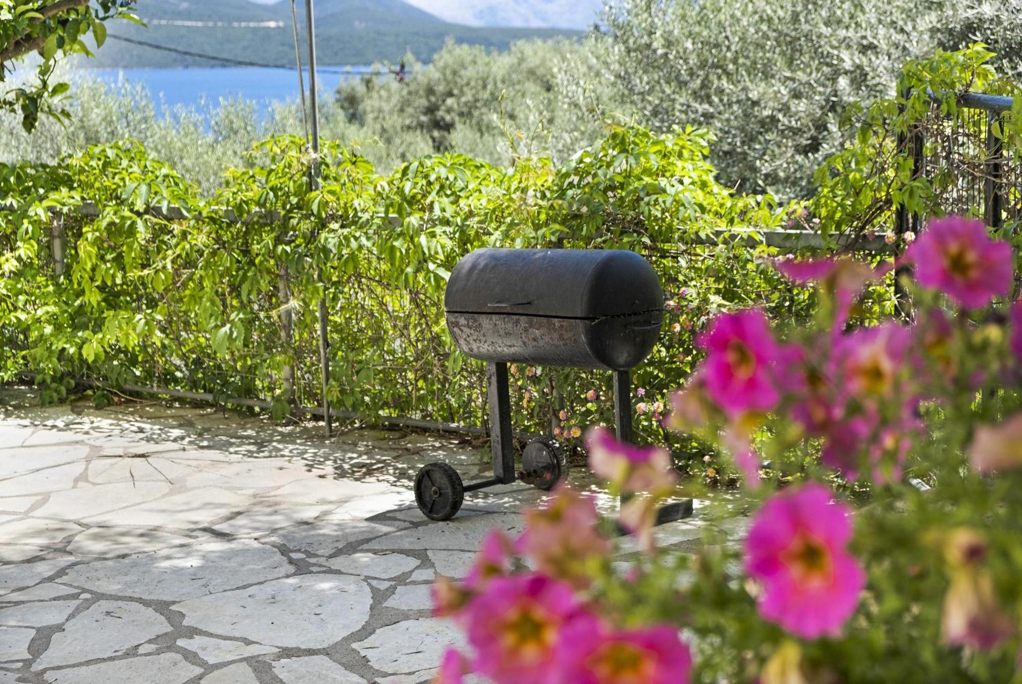 Apartment Tasoula With Mountain View
