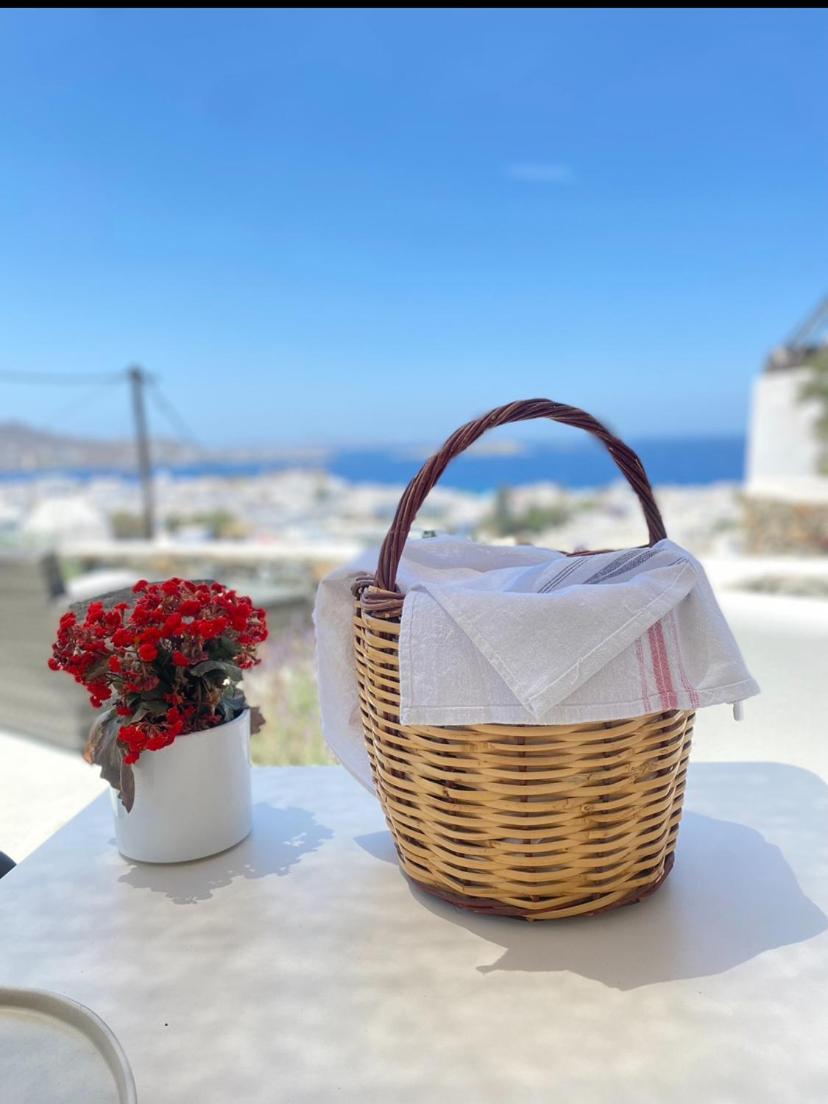 The View Of Mykonos Apartment Mykonos Town
