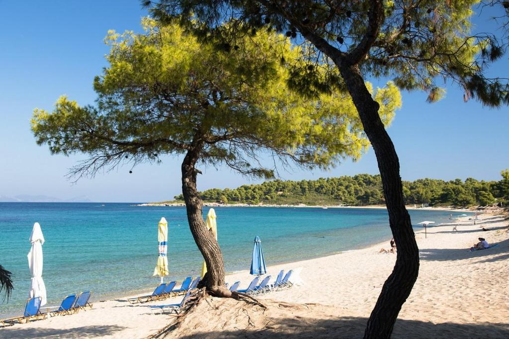 Sol Et Mare Holiday home *