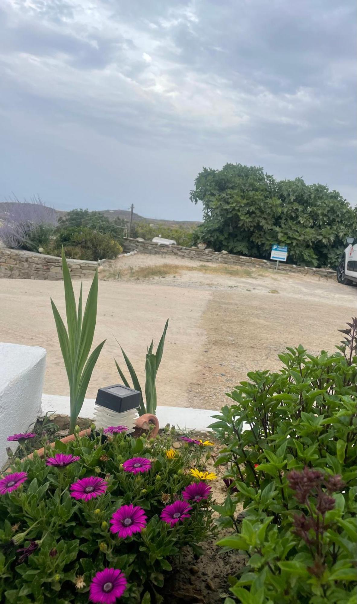 Apartment Geronti Moscha Apollonia (Sifnos)