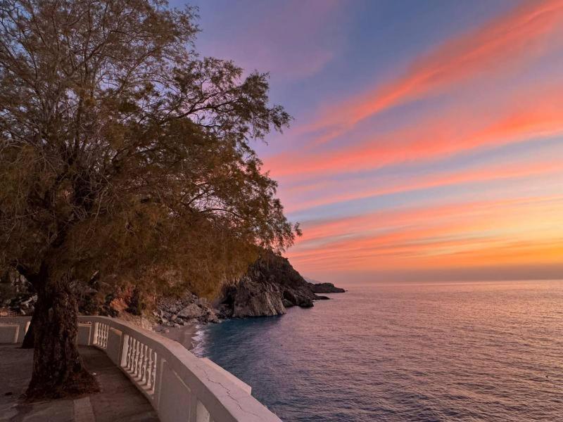 Apartment Enilion Luxury