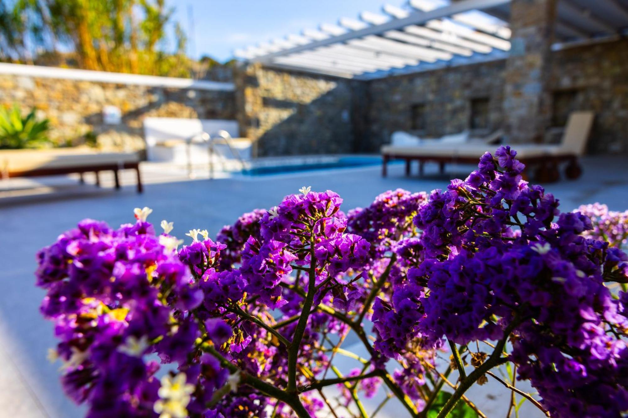 Artemis * Mykonos Town