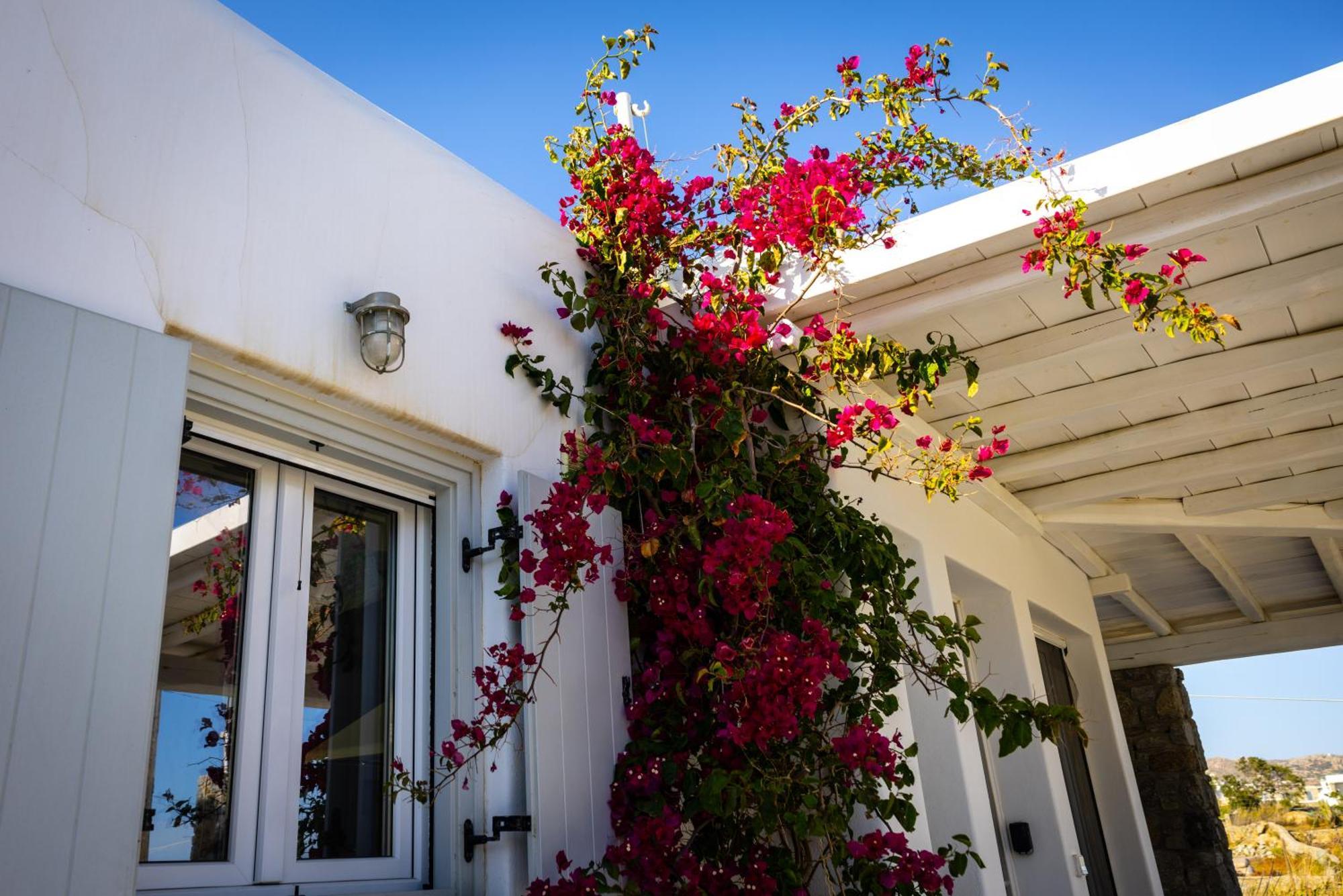 Artemis Villa