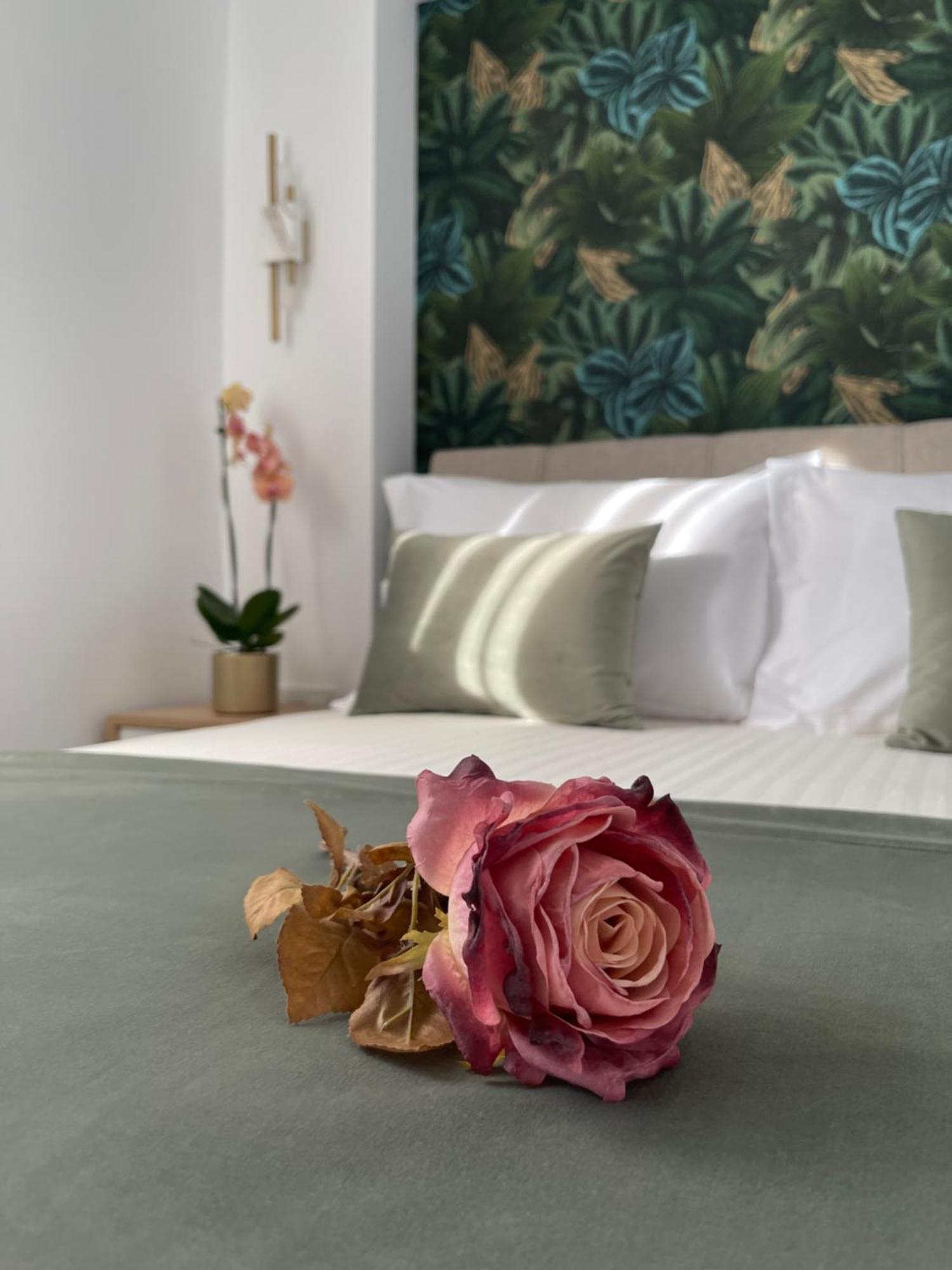 Elia Luxury House Ouranoupoli