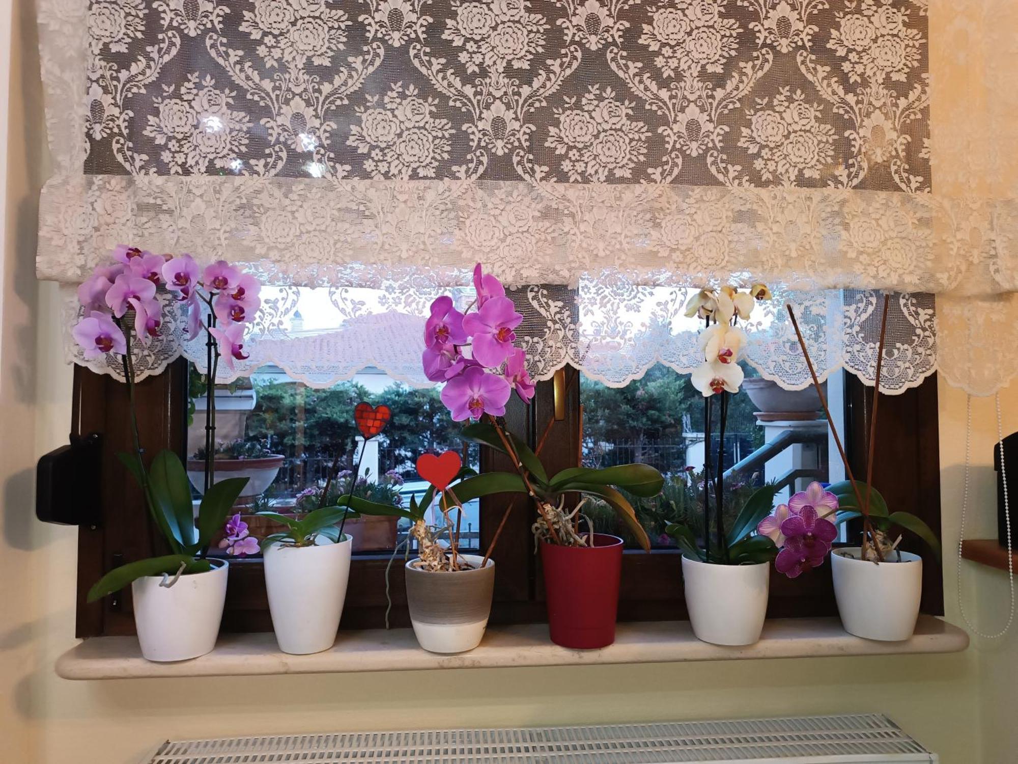 Family House * Alexandroupoli