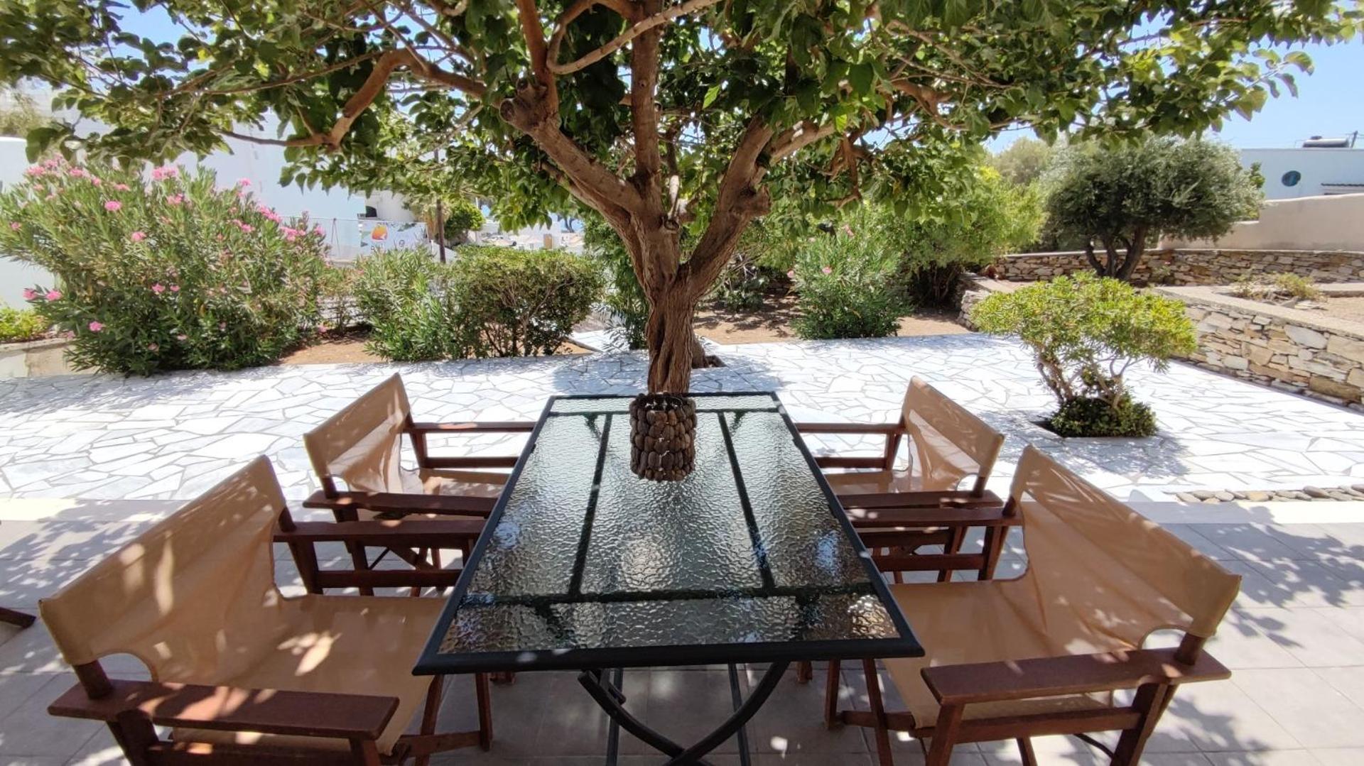 Andromachi's Cozy Tinos