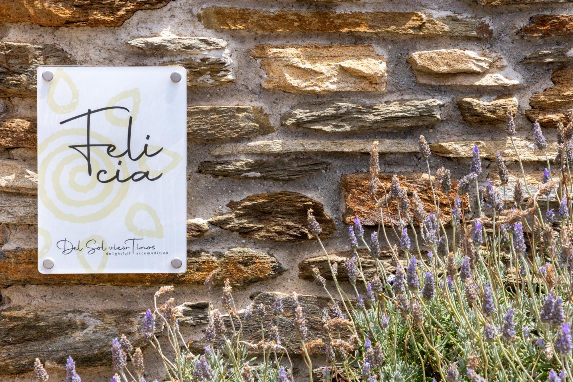 Felicia Exclusive - Private Pool Holiday home *