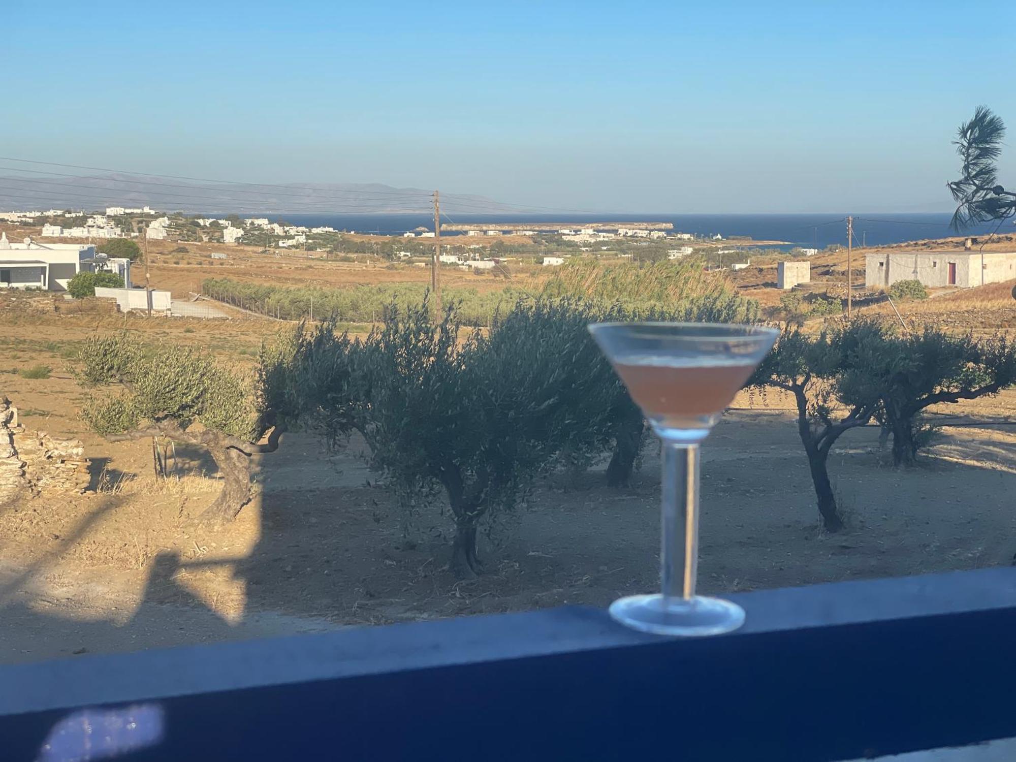 Antilio Holiday home Chrisi Akti (Paros)
