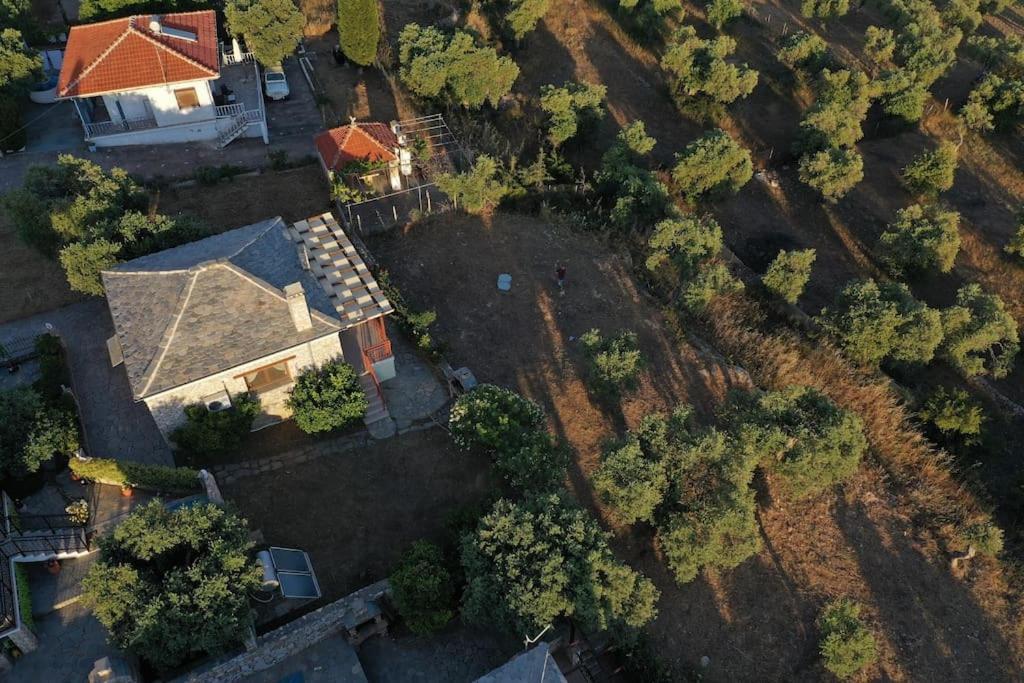 House Demetra