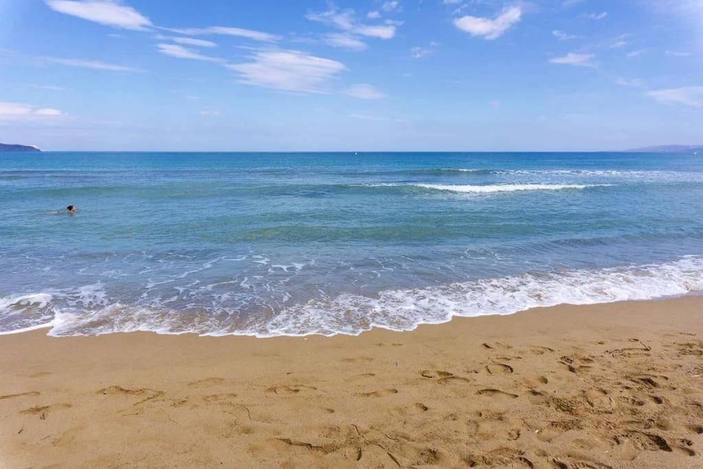 Apartment Bright With Balcony Close To The #4 Gazi