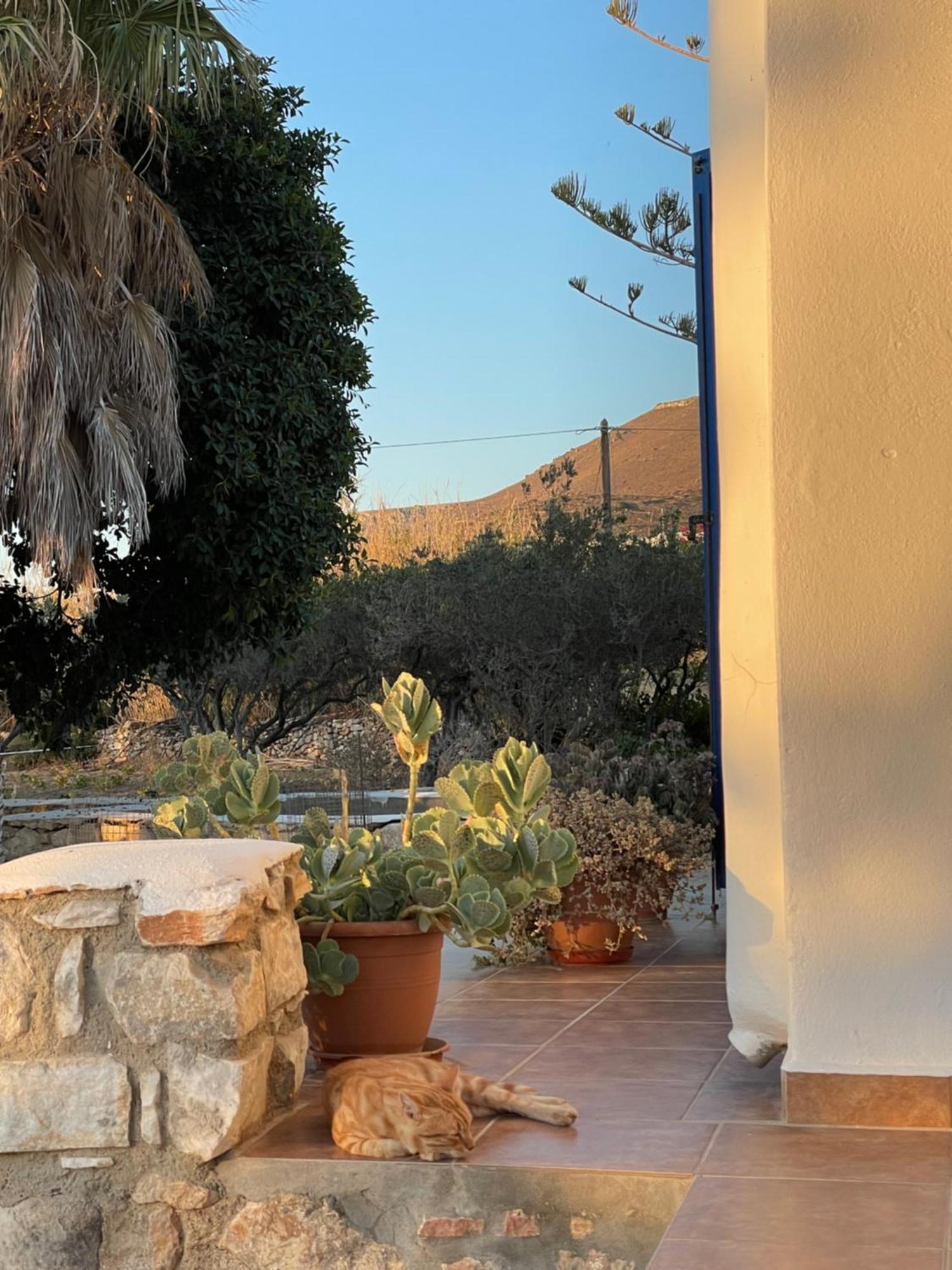 Agapi Parikia (Paros)