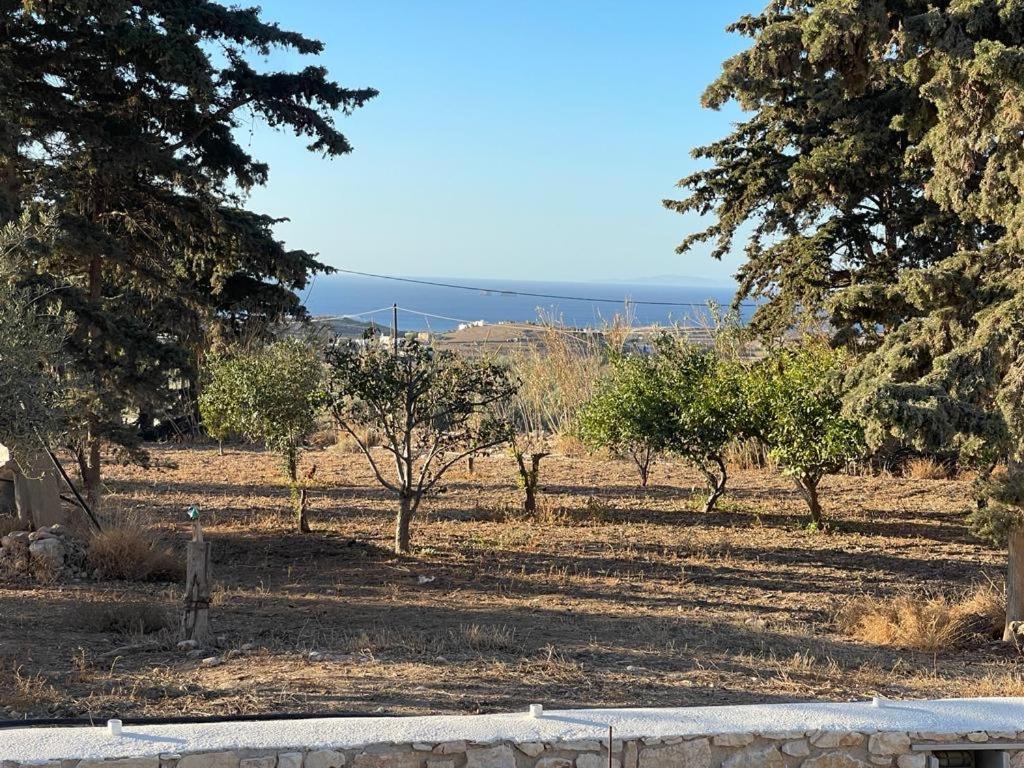 Agapi Holiday home *
