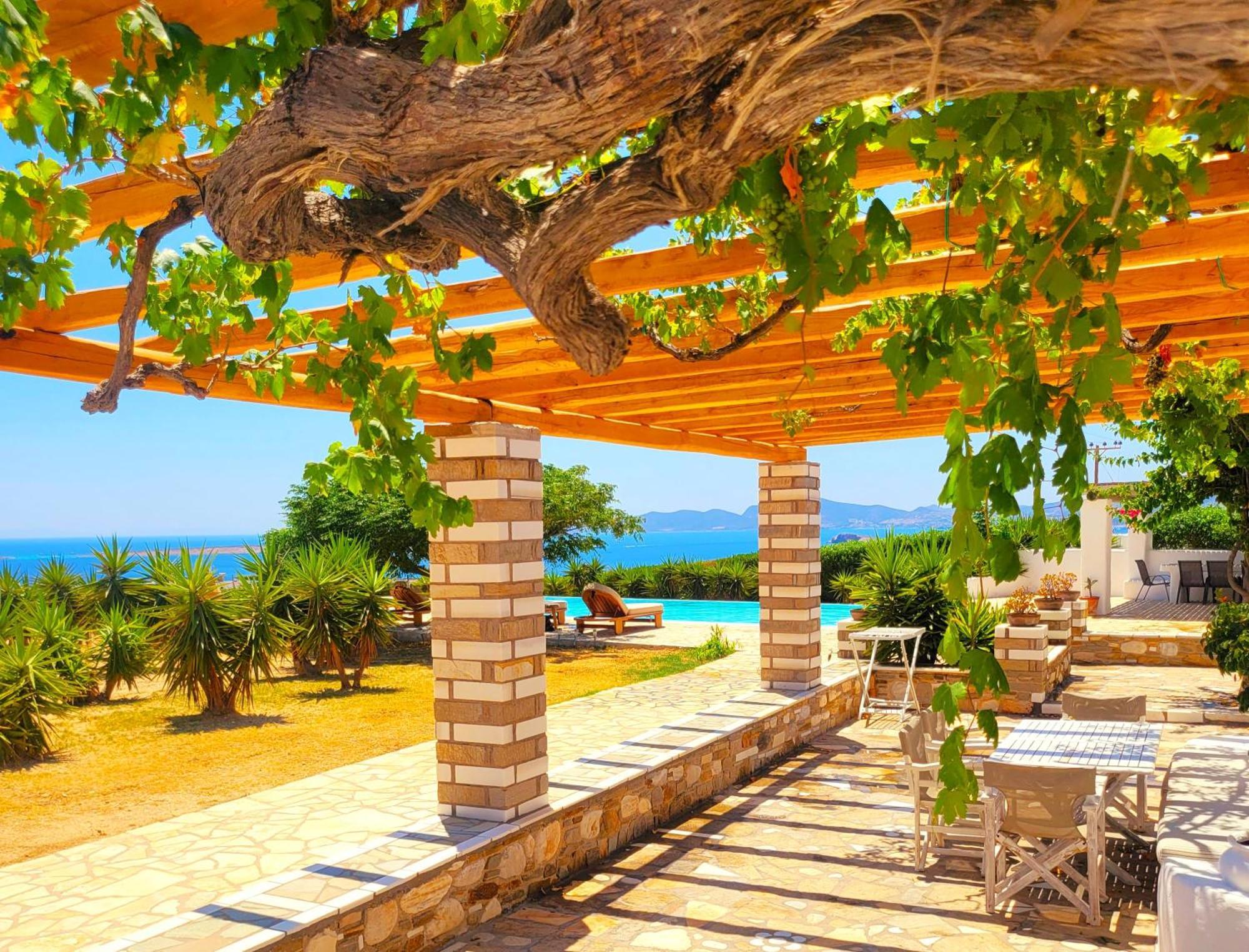 Villa Paros Afrodite Luxury Aliki (Paros)
