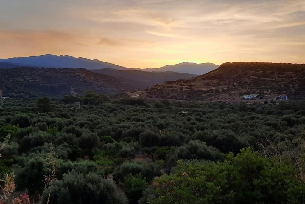 Jasmine Summer House * Kalo Chorio (Lasithi)