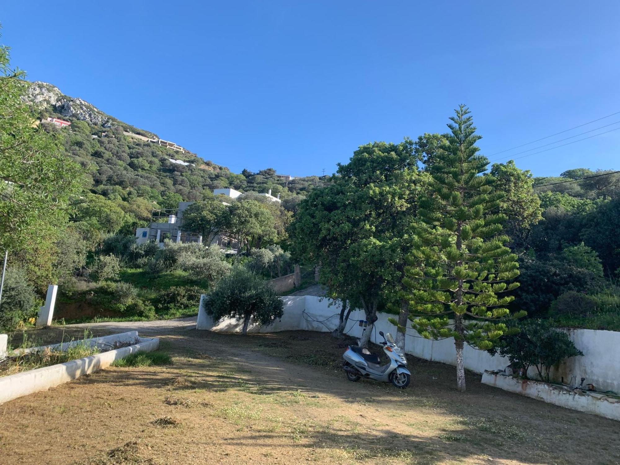 ροδον * Agia Marina (Leros)