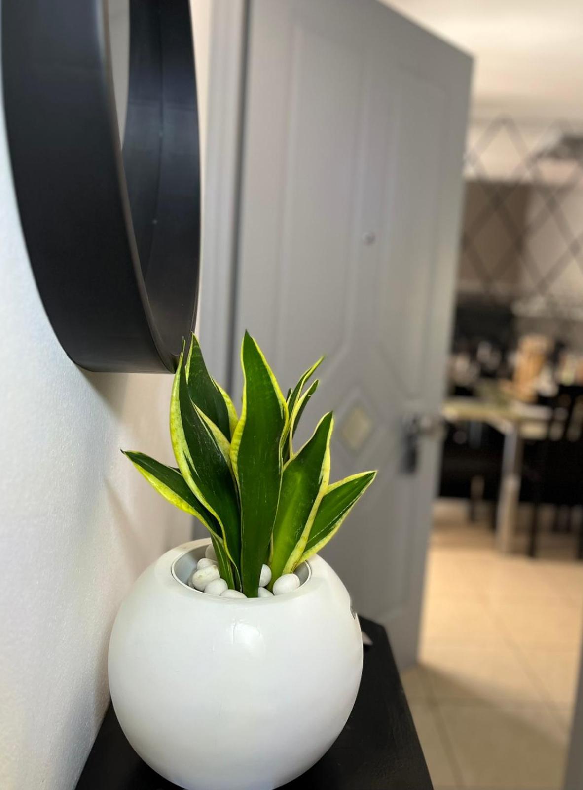 Apartment Diamond Lux
